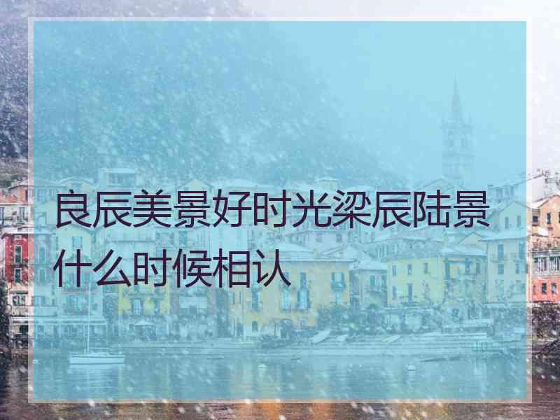 良辰美景好时光梁辰陆景什么时候相认