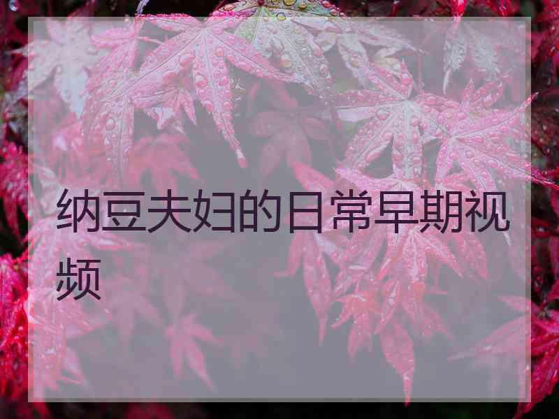 纳豆夫妇的日常早期视频