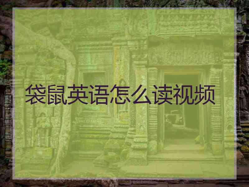 袋鼠英语怎么读视频