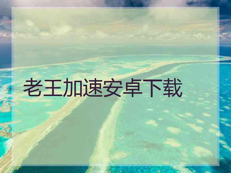 老王加速安卓下载