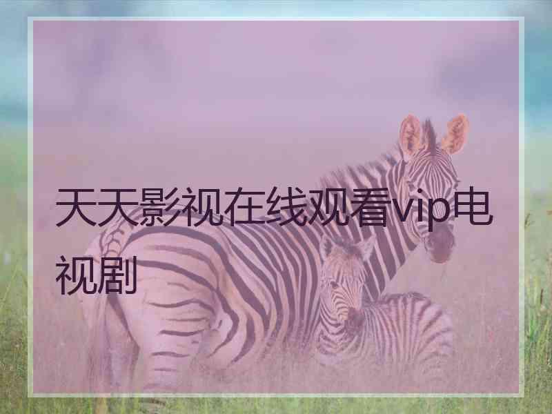 天天影视在线观看vip电视剧
