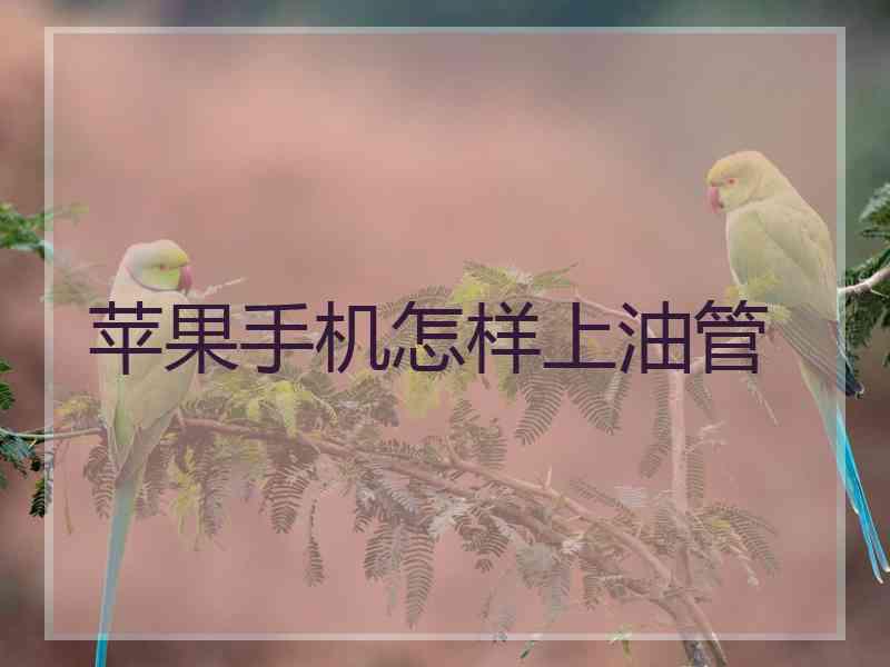 苹果手机怎样上油管