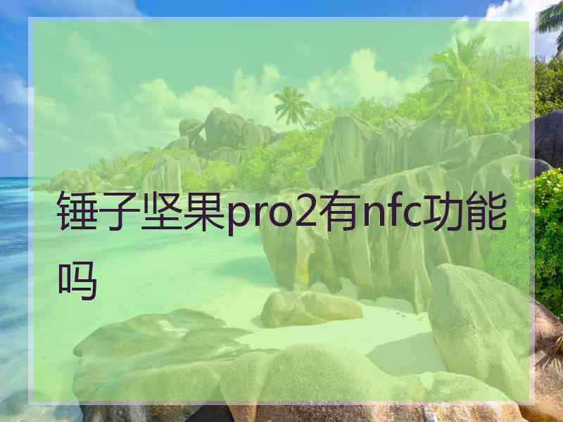 锤子坚果pro2有nfc功能吗