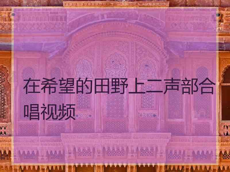 在希望的田野上二声部合唱视频