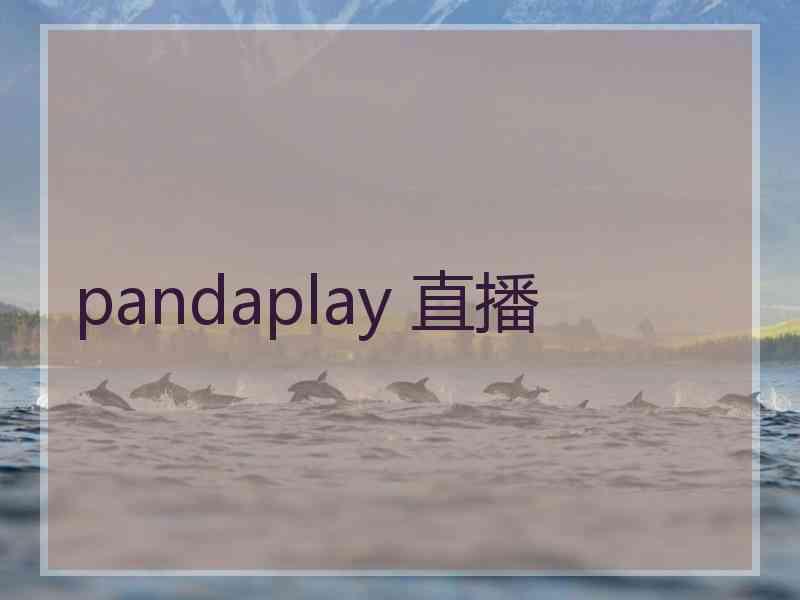 pandaplay 直播
