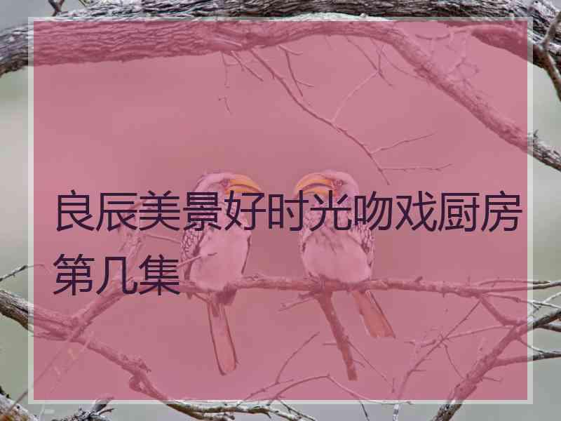 良辰美景好时光吻戏厨房第几集