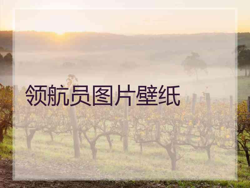 领航员图片壁纸