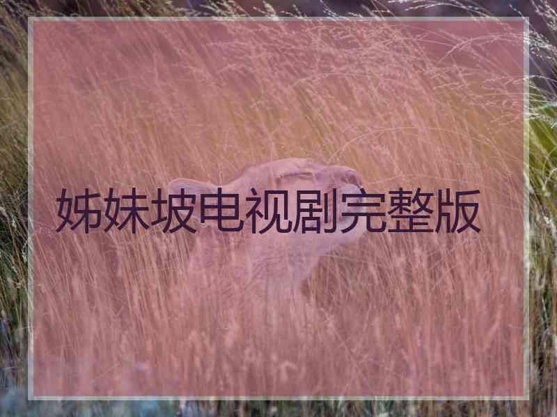 姊妹坡电视剧完整版