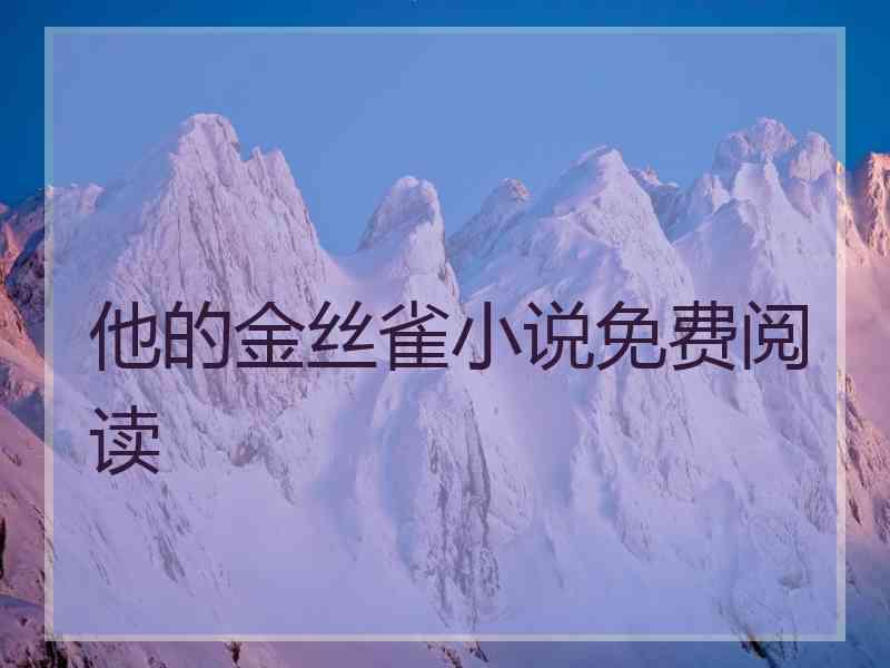 他的金丝雀小说免费阅读