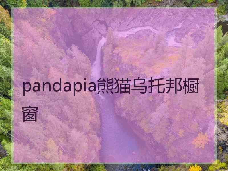 pandapia熊猫乌托邦橱窗