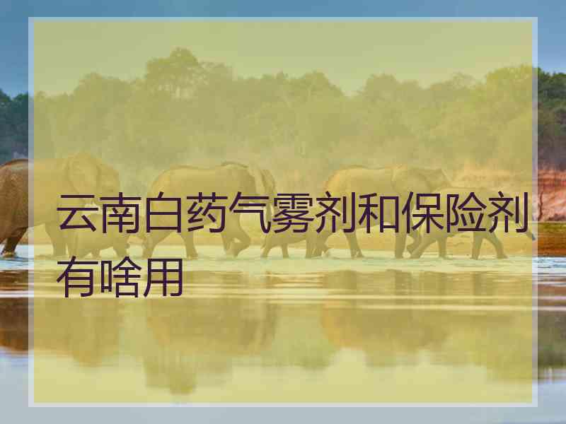 云南白药气雾剂和保险剂有啥用