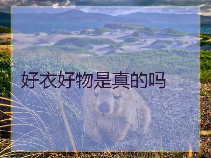 好衣好物是真的吗