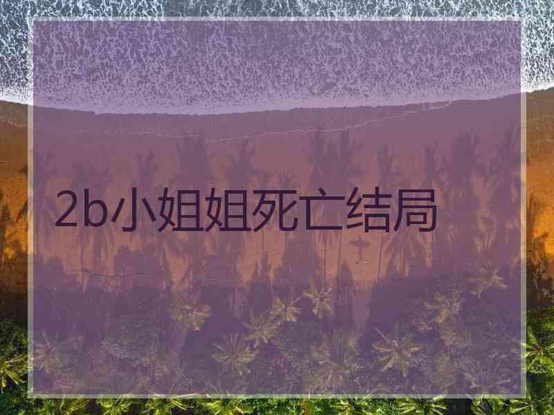 2b小姐姐死亡结局