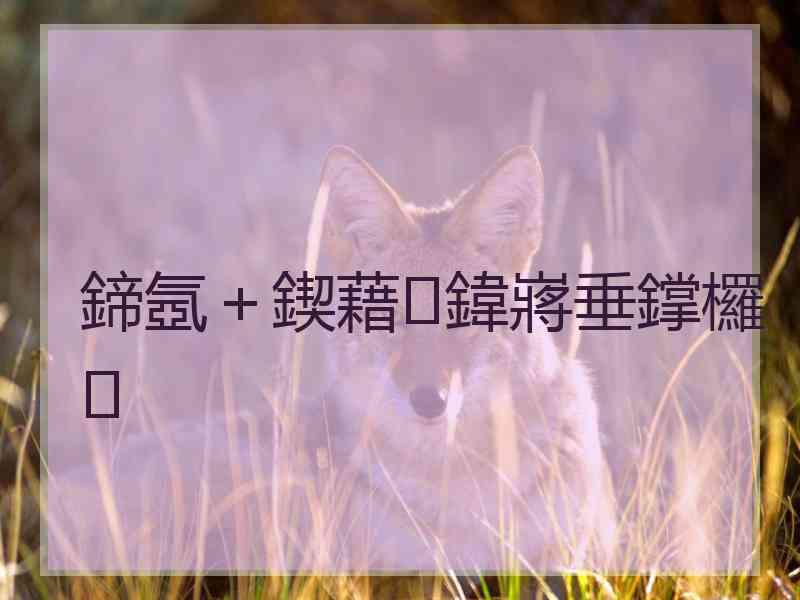 鍗氬＋鍥藉鍏嶈垂鐣欏