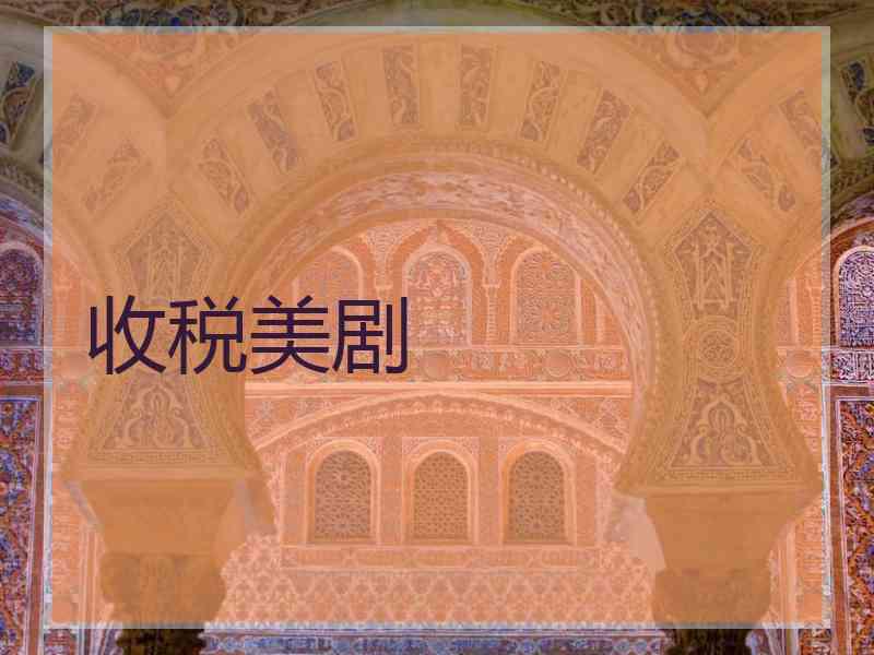 收税美剧