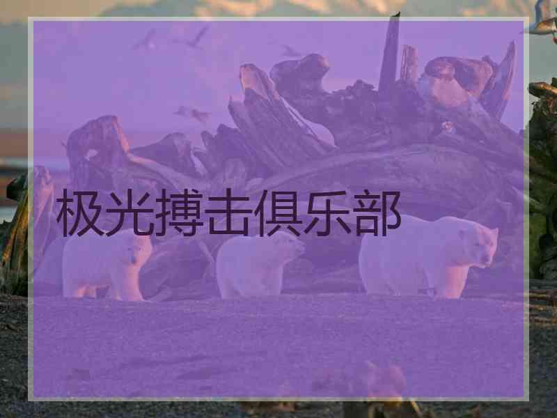 极光搏击俱乐部