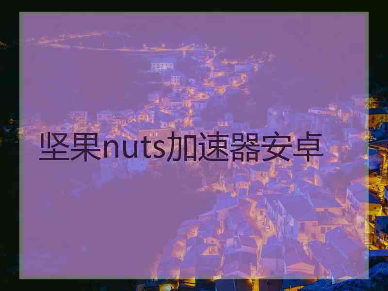 坚果nuts加速器安卓