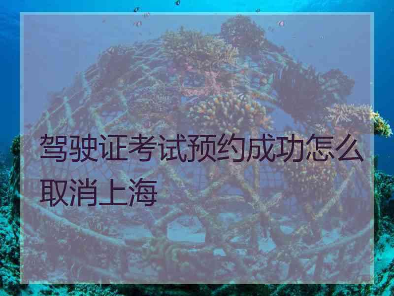 驾驶证考试预约成功怎么取消上海
