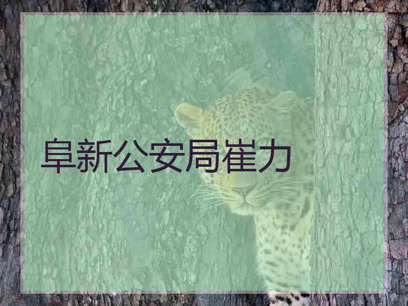 阜新公安局崔力