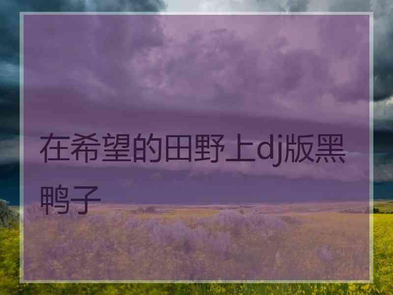 在希望的田野上dj版黑鸭子
