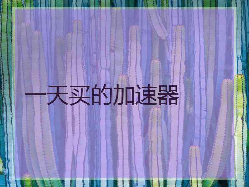 一天买的加速器