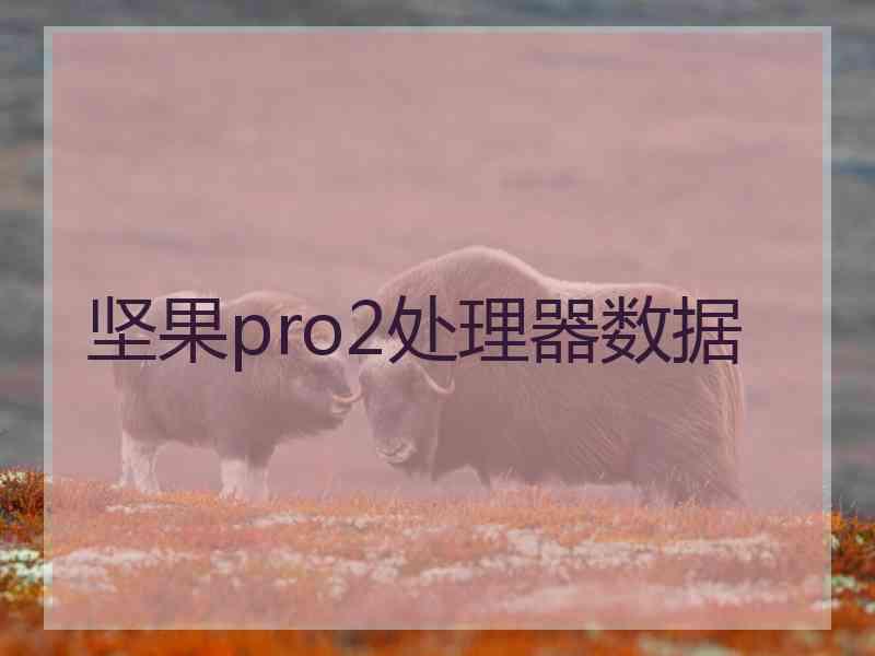 坚果pro2处理器数据