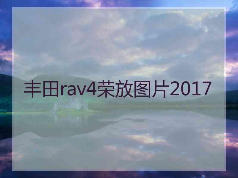 丰田rav4荣放图片2017