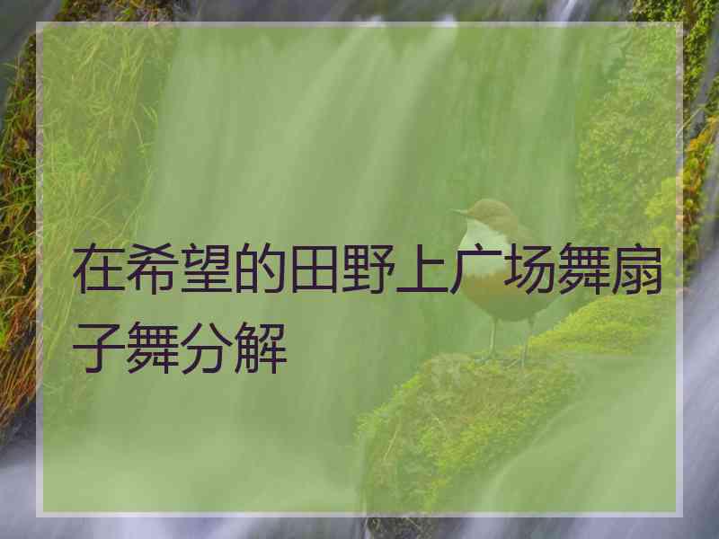 在希望的田野上广场舞扇子舞分解