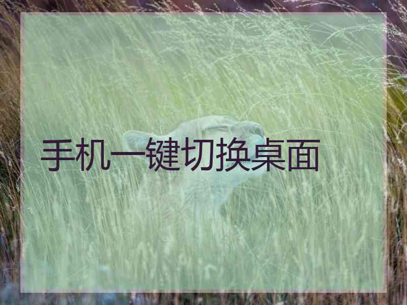 手机一键切换桌面