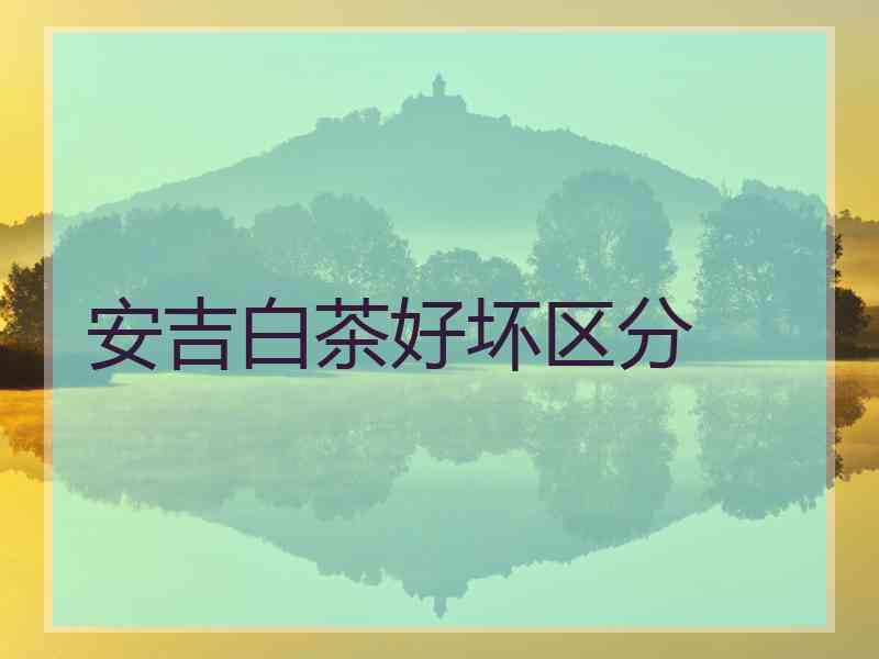 安吉白茶好坏区分