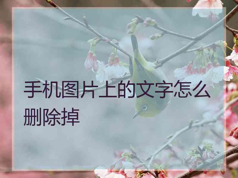 手机图片上的文字怎么删除掉