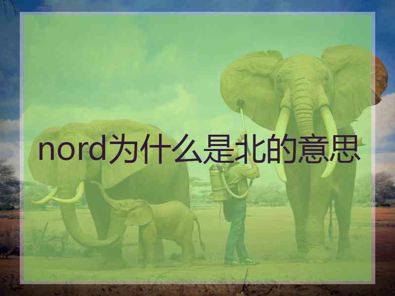 nord为什么是北的意思