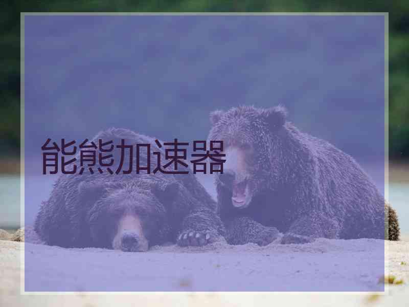 能熊加速器