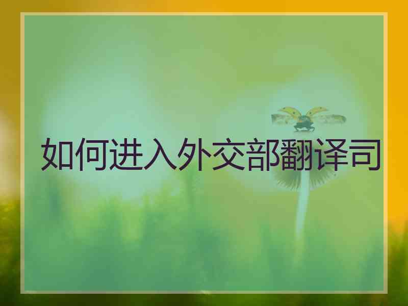 如何进入外交部翻译司