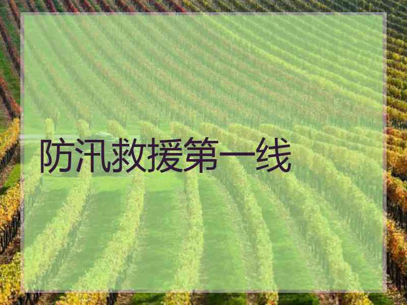 防汛救援第一线