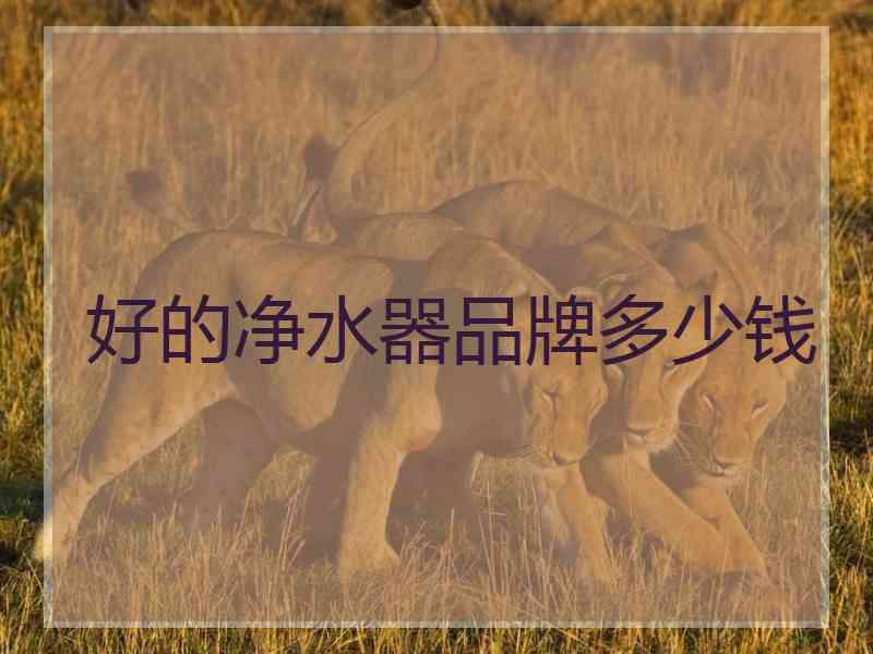 好的净水器品牌多少钱