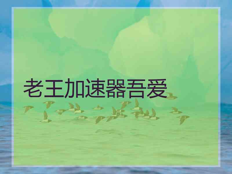 老王加速器吾爱