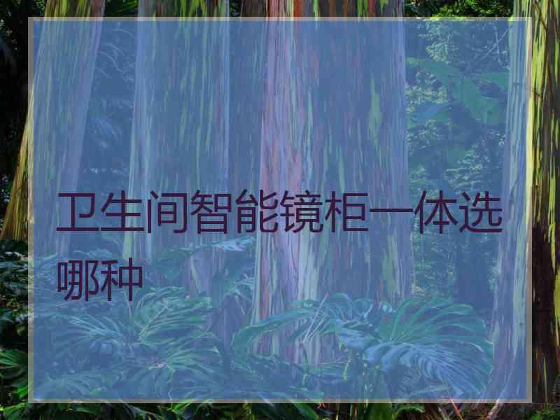 卫生间智能镜柜一体选哪种