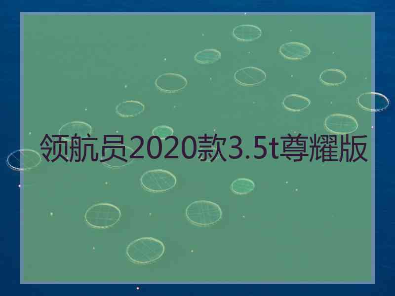 领航员2020款3.5t尊耀版