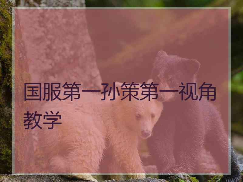 国服第一孙策第一视角教学