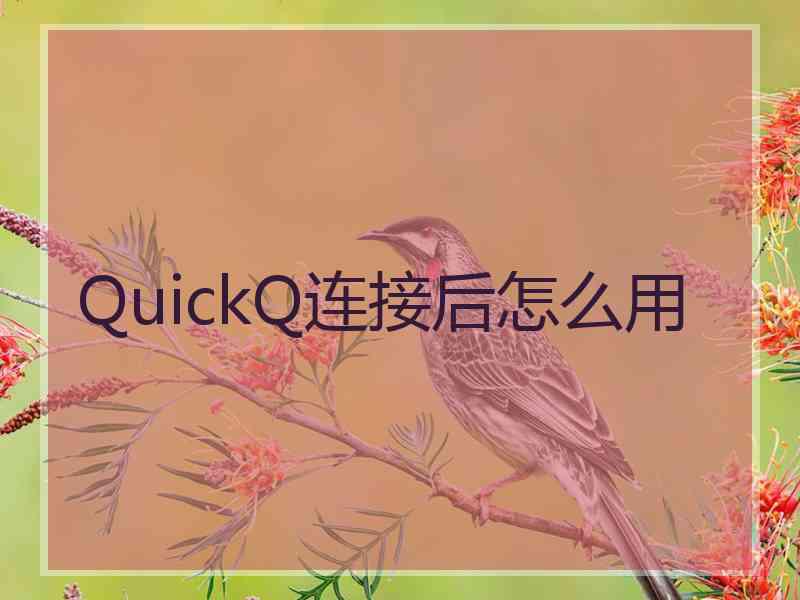 QuickQ连接后怎么用