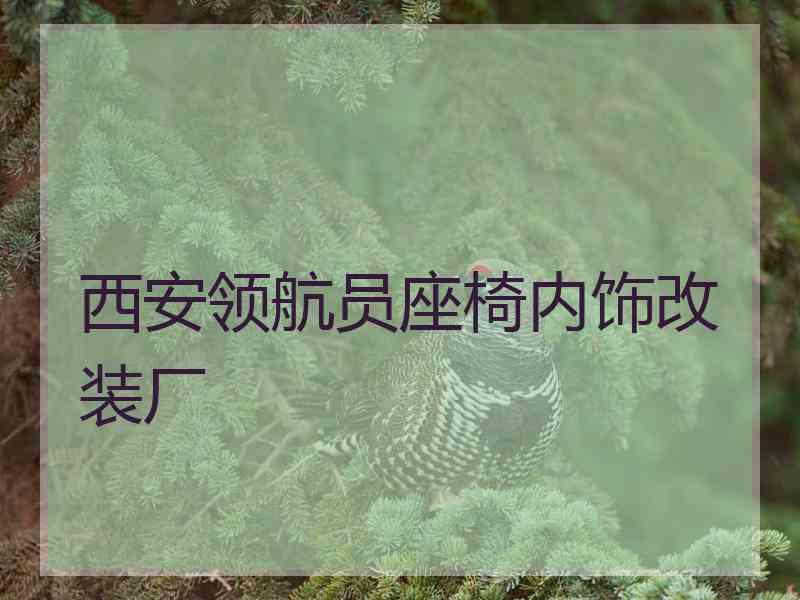 西安领航员座椅内饰改装厂