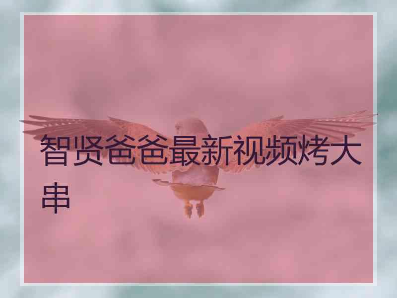 智贤爸爸最新视频烤大串