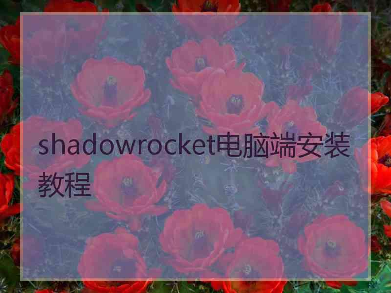 shadowrocket电脑端安装教程