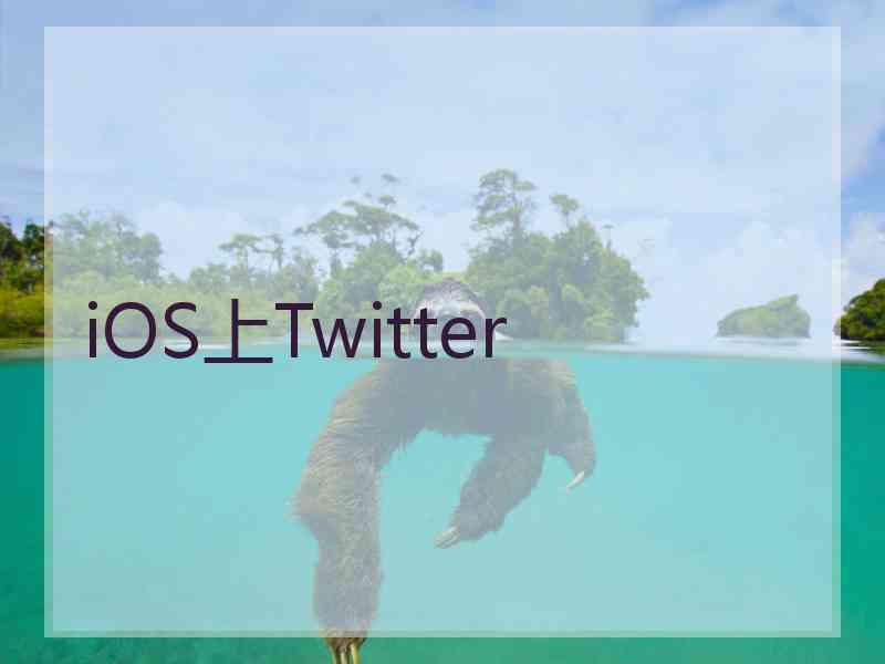 iOS上Twitter