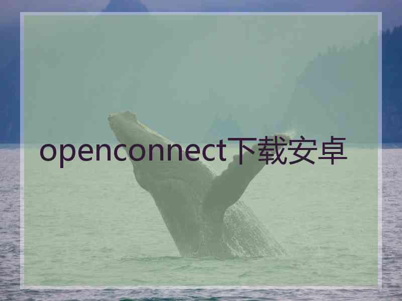 openconnect下载安卓