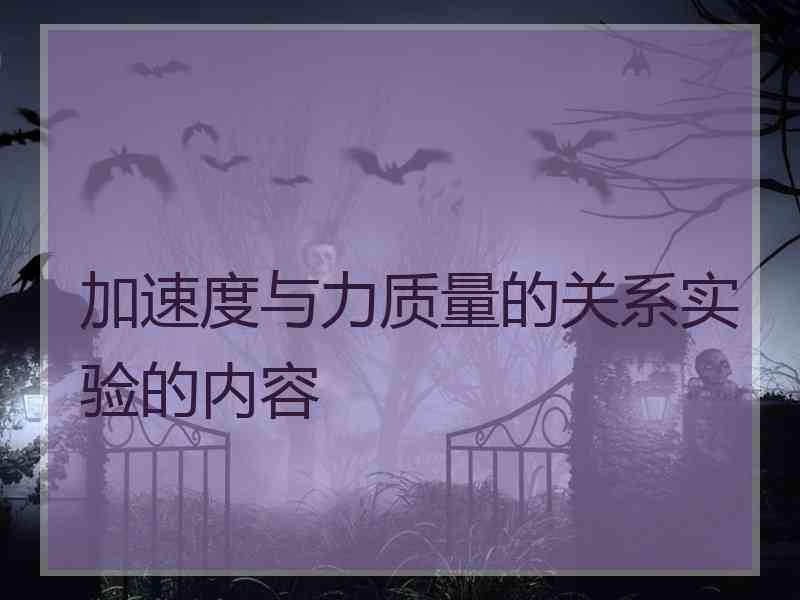 加速度与力质量的关系实验的内容