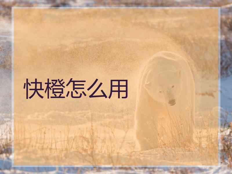 快橙怎么用