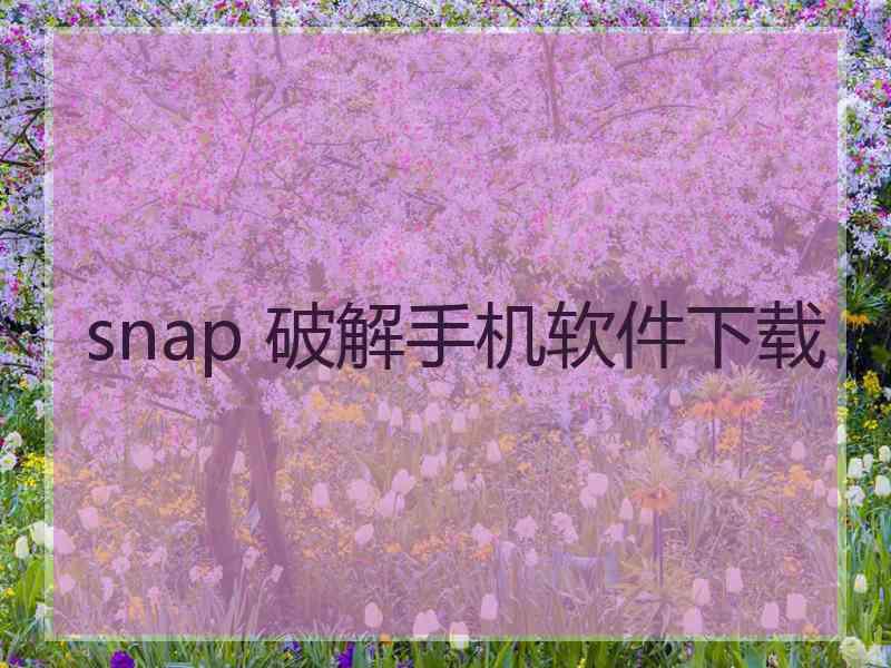 snap 破解手机软件下载