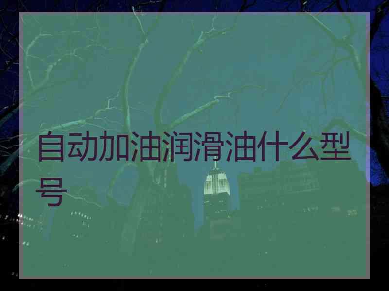 自动加油润滑油什么型号